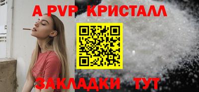 кокс Кингисепп