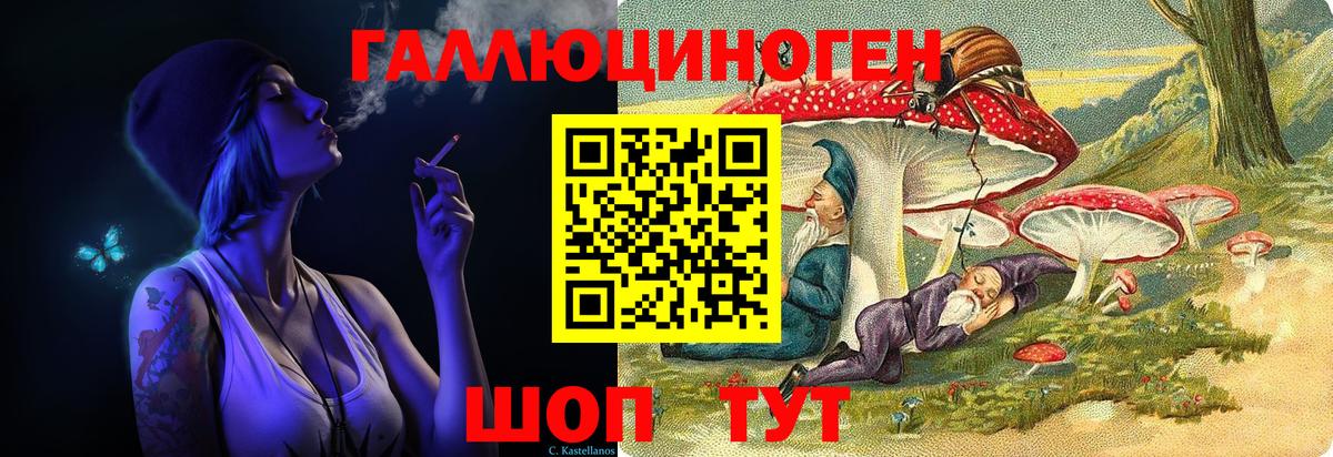 где продают   Псилоцибиновые грибы MAGIC MUSHROOMS  Вход с VPN  Псилоцибиновые грибы прущие грибы  Отрадное 